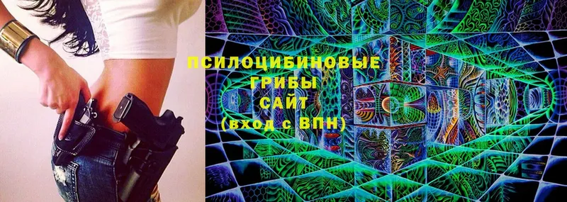 как найти закладки  Хотьково  Галлюциногенные грибы MAGIC MUSHROOMS 